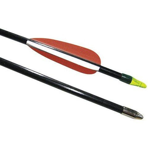 Image of Glass Target Arrows 26" -(Dozen) | 20027506