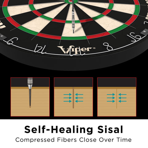 Image of Viper Razorback Professional Dartboard Center