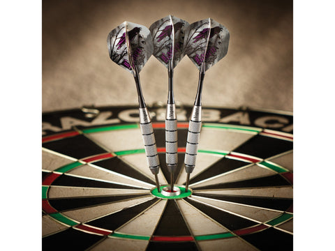 Image of Viper Underground Steel Tip Darts Raven 25 Grams - HomeFitPlay