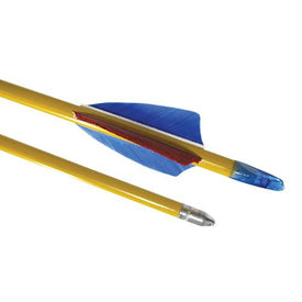 ECONOMY WOOD ARROW - DZ  (24") | 1160109
