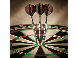 Viper Underground Steel Tip Darts Fatal Shot 24 Grams 