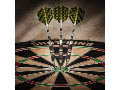 Viper The Freak Steel Tip Darts 3 Knurled Rings Barrel 22 Grams - HomeFitPlay