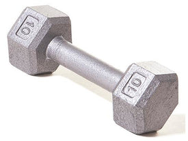 Hex Dumbbell w/ Straight Handle 10 lb - HomeFitPlay
