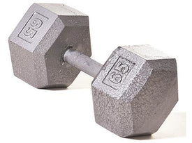 Hex Dumbbell w/ Straight Handle 65 lb - HomeFitPlay