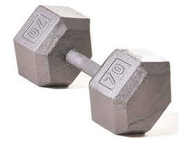 Hex Dumbbell w/ Straight Handle 70 lb - HomeFitPlay