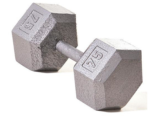 Hex Dumbbell w/ Straight Handle 75lb - HomeFitPlay