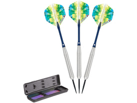 Elkadart Prism Ringed Silver Steel Tip Darts - HomeFitPlay